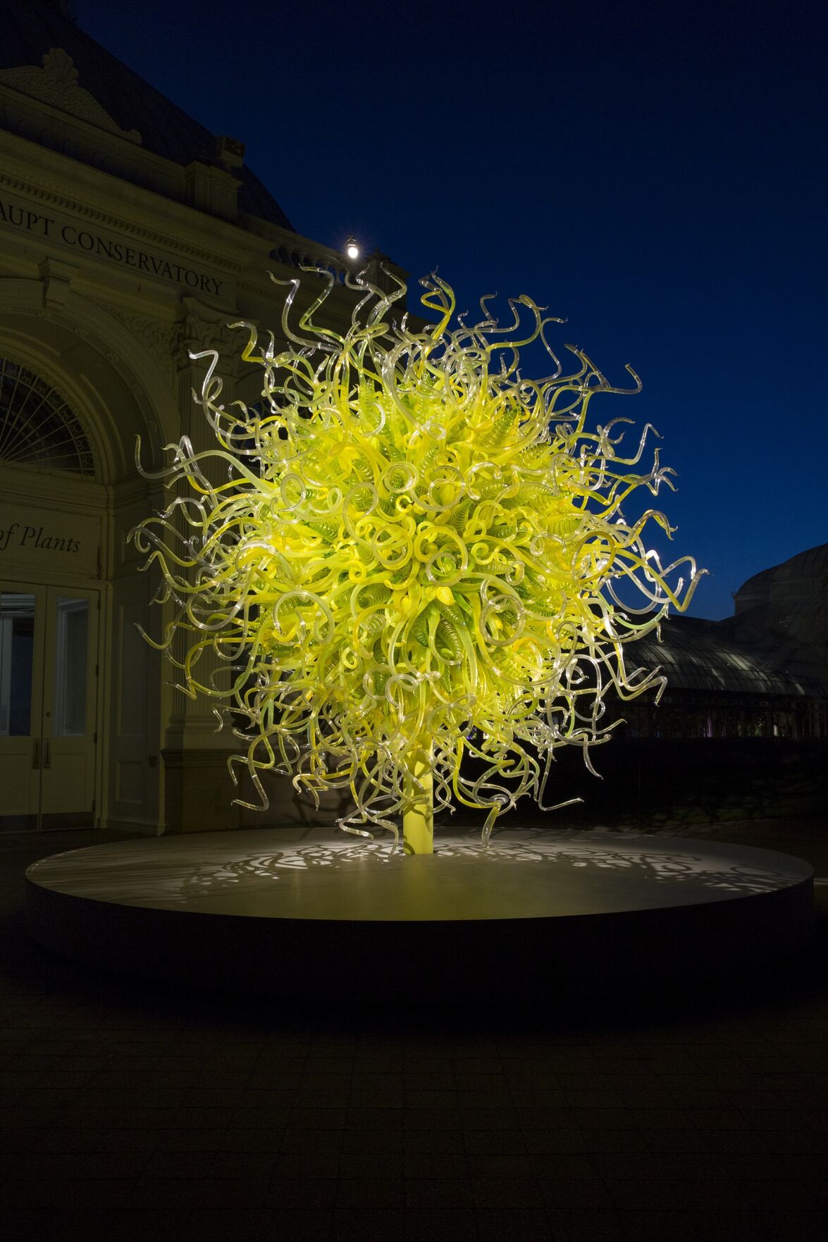 Dale Chihuly Sol del Citrón, 2014 14 x 14 x 14' The New York Botanical Garden, Bronx, installed 2017 © 2021 Chihuly Studio. All Rights Reserved..jpg